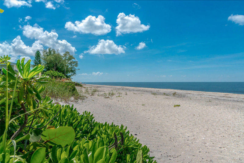 A beach