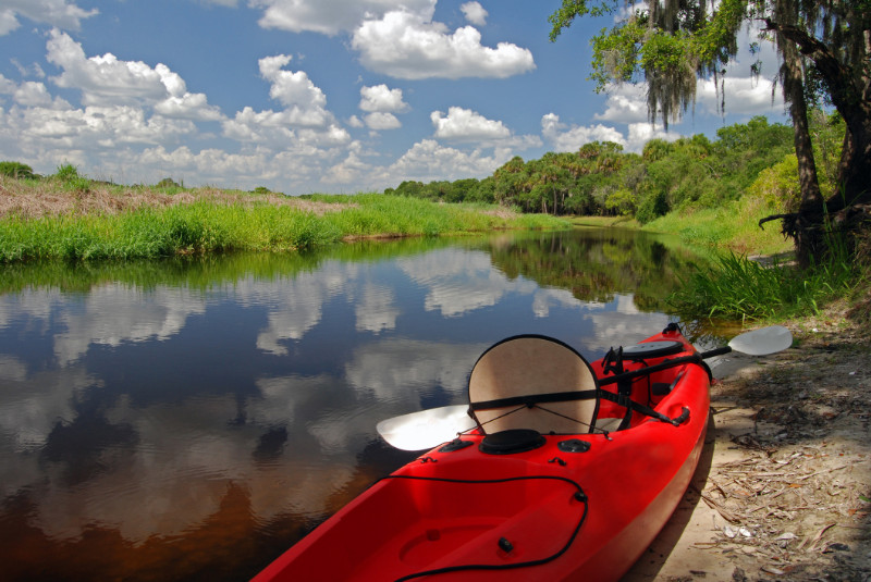 A kayak