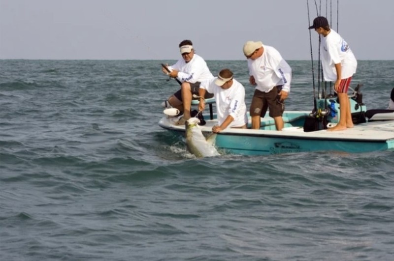 Fishing